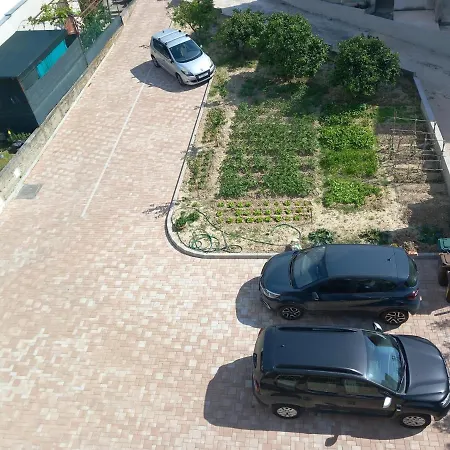 Antea * سبليت